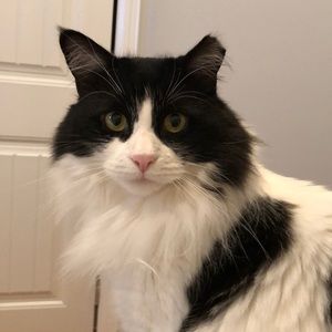 Meet your Posher, Mary